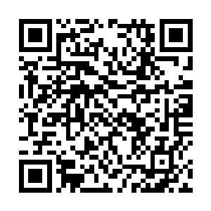 所以即便陈诚伤害爆炸也没能一套带走这只可恶的老鼠二维码生成