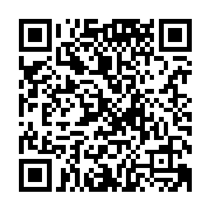 所以变成了主动要帮助周芸一起去捣毁这个黑心的肉食加工厂二维码生成