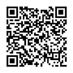 所以只要徐康远或者李秀珍私下里跟蔡姐透露一句二维码生成