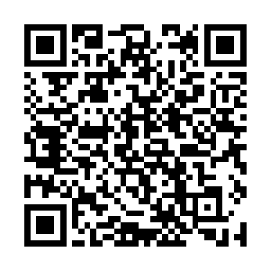 所以只需要奉上少量祭品就一定会相应林封谨的召唤二维码生成