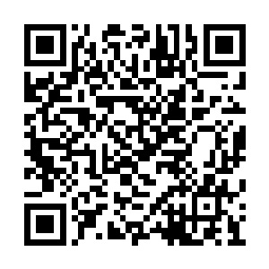 所以各家媒体工作人员都在附近蹲点隐藏了起来二维码生成