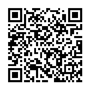 所以各种药材吃食绫罗绸缎……全都是最最最好的二维码生成