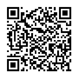 所以哪怕亲戚一直劝说也没有跟玉环成亲入洞房二维码生成