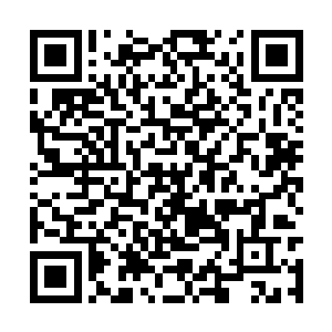 所以哪怕是我这卧室衣柜里面的所有衣服都湿光了二维码生成