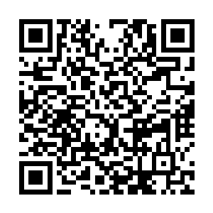 所以哪怕这个巨型蠕虫给他带来了巨大的压力和危机感二维码生成