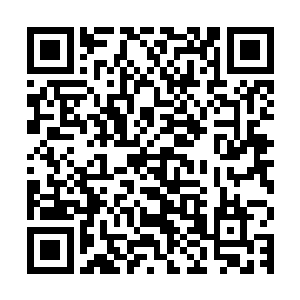 所以在凌霄大将通知他为凌兰挑五名临时队员与翔龙战队对决时二维码生成