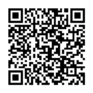 所以在场的众人根本就没有看清楚大伏魔掌的威力二维码生成