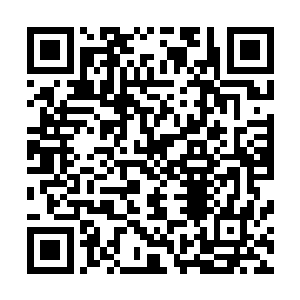 所以在接下来相当长的一段时间里应该不会与公子正面敌对二维码生成