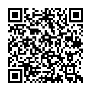 所以在背后不知道帮我给莫君越拉了多少的仇恨二维码生成