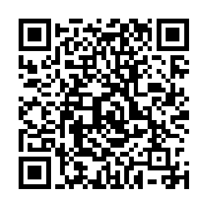 所以在警局的门口引下年兽又用矮松造坟埋下藏尸罐养阴龙二维码生成