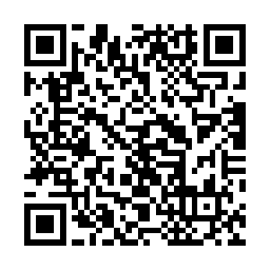 所以在试炼谷内一旦遇到四阶的妖兽将是非常危险的事情二维码生成
