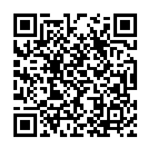 所以在那个时候的鬼王每天几乎都是拼了命的训练二维码生成