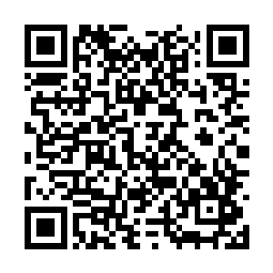 所以夏天只需使用金刀就可以轻松的将他们秒杀了二维码生成