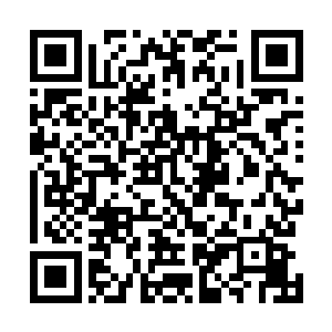 所以大家也都在研究将来小飞会不会成为花脸王的接班人二维码生成
