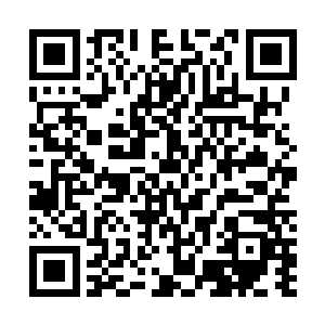 所以她也从没想过要收服花灵或者从她身上得到什么好处二维码生成