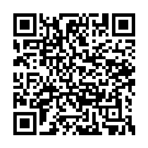 所以她压根没往两人要在中海凯旋买房子上面想二维码生成