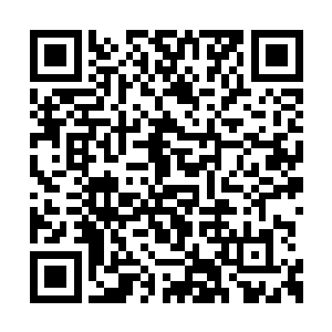 所以她可以尽快掌握孩子最新的生活学习的动向二维码生成