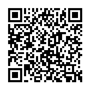 所以她才故意将自己买水货时认识的花姐的资料二维码生成