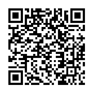 所以她才是世界之主想找的那个为她凑齐三块符文石的人二维码生成