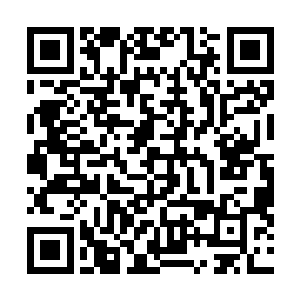 所以她早早做好准备……费尽心机不过是分得了半套房产二维码生成