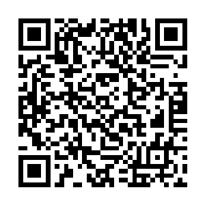 所以她现在主要还是要帮助白老夫人调节好身子才是二维码生成