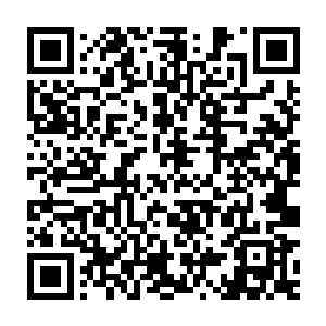 所以它能够放心大胆的让自己进入到完全不理会外面世界的熟睡地步二维码生成