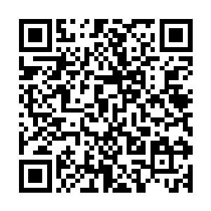 所以宇无极无比担心的看着那一个个从苏落指尖流淌出的字符二维码生成