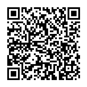 所以对于整个周末都没办法跟白奇雪出去约会我也没感觉那么内疚了二维码生成