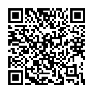 所以对于火劫所有人都相信华夏九能够轻松渡过二维码生成