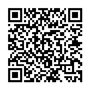 所以对于现在强盛的圣庭来说必定会有这一个衰弱期二维码生成