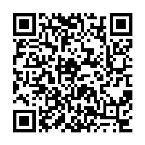 所以就不经意间把那花的事告诉了任务堂的管事二维码生成