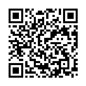 所以就算和这角龙等级差别大一些二维码生成