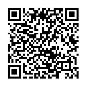 所以就算是涅盘境界高手被妖兽缠住的话也只有死路一条二维码生成