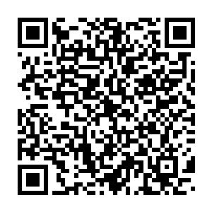 所以尽管从龙幼萱这里可以通过望远镜看到那个几乎是静止的影子二维码生成