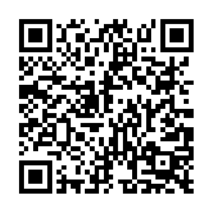 所以屋中出现的情况黑暗教皇也是没有任何的意外二维码生成