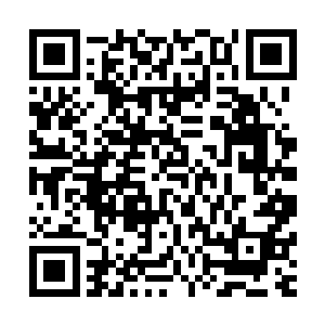 所以并未看到林烽大发神威把唐文举打成狗的大快人心的画面二维码生成