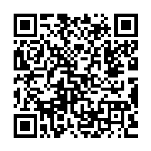 所以弟弟妹妹们每次送小熊的礼物都是他想买而不舍得买的东西二维码生成