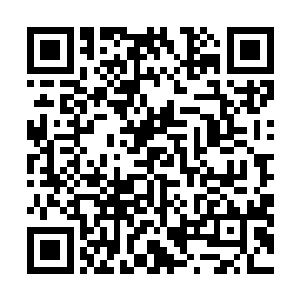 所以当初在碧落大陆的时候小神龙能帮苏落赢那么多赌石二维码生成