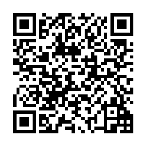 所以当小蝶之前看到了我那一幕之后并没有多大的反应二维码生成