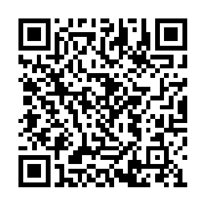 所以当年才收了我们三姐妹帮她分担圣城的事情二维码生成