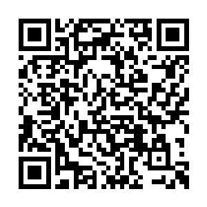 所以当时对你一下子控制出几十头道三境的荒兽二维码生成