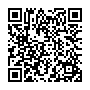 所以当杜若风端着高脚杯盛着的马丁尼心不在焉对她说二维码生成
