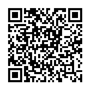 所以当瞭望手发现船只前往的方向竟然是珍珠岛的时候二维码生成