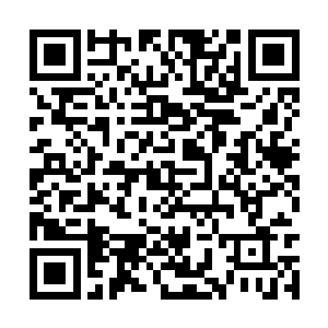 所以当那婆罗门神族的实力强悍到一定程度的时候二维码生成