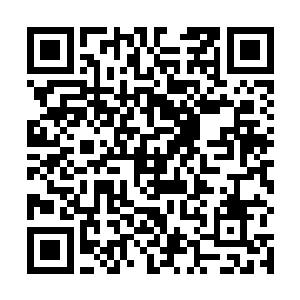所以很多低年级和高年级的人都不清楚里面发生的事情二维码生成
