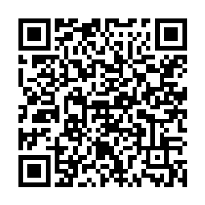 所以很快就有无数玩家竞相报名……有钱就是好办事啊二维码生成