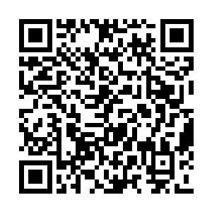 所以很是轻松地便被龙傲天和嫣然两人避了开来二维码生成