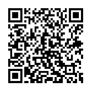 所以急功近利之下对灵气的控制度不太高的缘故二维码生成