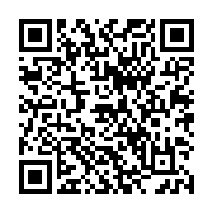 所以恽廷国一方在这个问题上明显缺乏更足够的说服力二维码生成