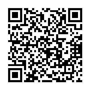 所以我不打算把发生在熬蛟身上的事情告诉给吴言二维码生成